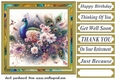 Floral peacock card front 6