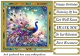 Floral peacock card front 7