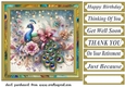 Floral peacock card front 8