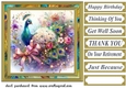 Floral peacock card front 12