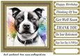 Paint splash Staffie card front 4