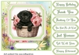 Floral puppy in basket card front 3