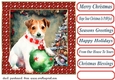 Christmas Jack Russel card front 2
