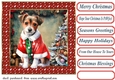 Christmas Jack Russel card front 3