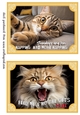 2 What does the cat say card fronts (7x5 aprox) 2