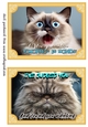 2 What does the cat say card fronts (7x5 aprox) 3