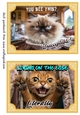 2 What does the cat say card fronts (7x5 aprox) 4