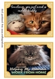 2 What does the cat say card fronts (7x5 aprox) 5