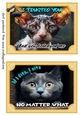 2 What does the cat say card fronts (7x5 aprox) 6