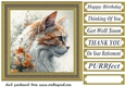 Floral cat in frame card front 2