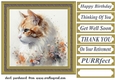 Floral cat in frame card front 5