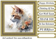 Floral cat in frame card front 6