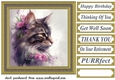 Floral cat in frame card front 8
