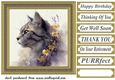 Floral cat in frame card front 9