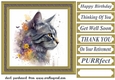 Floral cat in frame card front 11