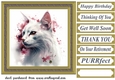 Floral cat in frame card front 13