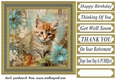 Framed floral cat card front (n9)