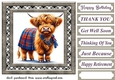 Tartan Highland cow card front 4
