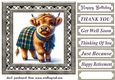 Tartan Highland cow card front 7