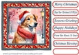 Floral Christmas pup card front 23