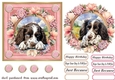 6x6 aprox Floral frame Springer card front 2