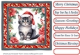 Christmas floral cat card front 5