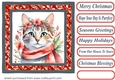 Christmas floral cat card front 16
