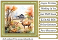 Country wildlife card front 2