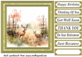 Country wildlife card front 3