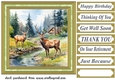 Country wildlife card front 4