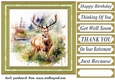 Country wildlife card front 5