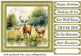 Country wildlife card front 7