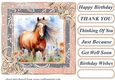Horse in flowers card front 2