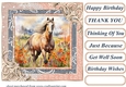 Horse in flowers card front 8