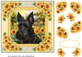 Framed sunflower Scottish terrier card front 2