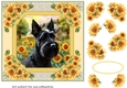 Framed sunflower Scottish terrier card front 5