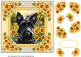 Framed sunflower Scottish terrier card front 6