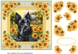 Framed sunflower Scottish terrier card front 7