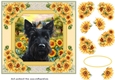 Framed sunflower Scottish terrier card front 8