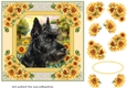 Framed sunflower Scottish terrier card front 10
