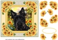 Framed sunflower Scottish terrier card front 11