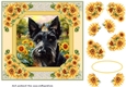 Framed sunflower Scottish terrier card front 12