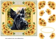 Framed sunflower Scottish terrier card front 13