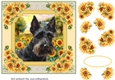 Framed sunflower Scottish terrier card front 14