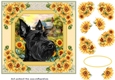 Framed sunflower Scottish terrier card front 16
