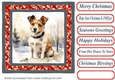 Winter Jack Russell card front 7
