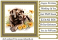 Floral Chocolate Labrador card front 3