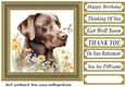 Floral Chocolate Labrador card front 4