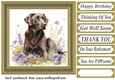Floral Chocolate Labrador card front 7