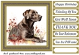 Floral Chocolate Labrador card front 8